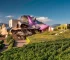 ¡Vive la Experiencia de Marqués de Riscal!