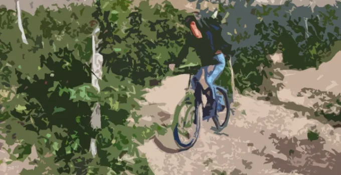 5 rutas bici Rioja Alavesa