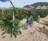 5 rutas bici Rioja Alavesa