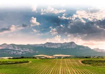 Bodegas Baños de Ebro