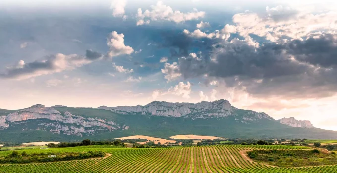 Bodegas Baños de Ebro