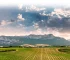 Bodegas Baños de Ebro