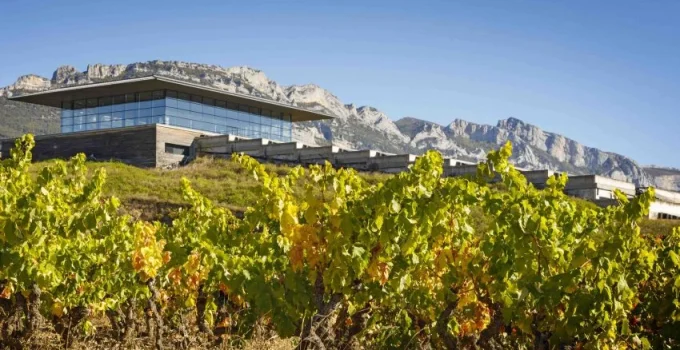 Bodegas Samaniego