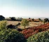 Bodegas Lanciego